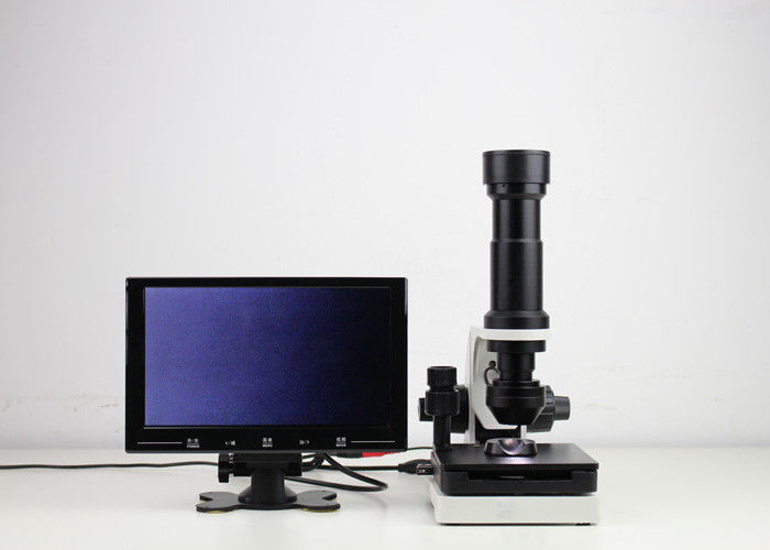 microcirculation microscope you are here all infomation