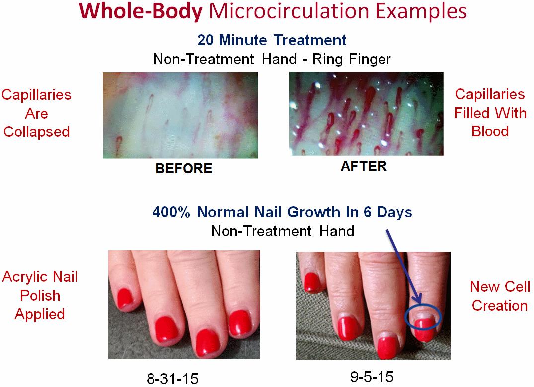 10 Mistakes Even the Pros Make In tasly microcirculation test
