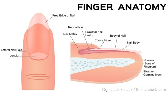 nail fold infection