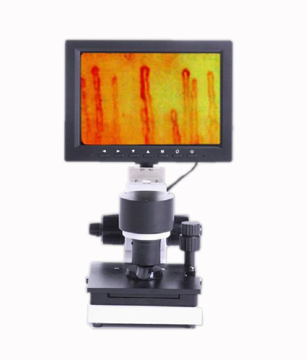 400 *480 *550 Digital Lab Bood Cpillary Microcirculation Microscope