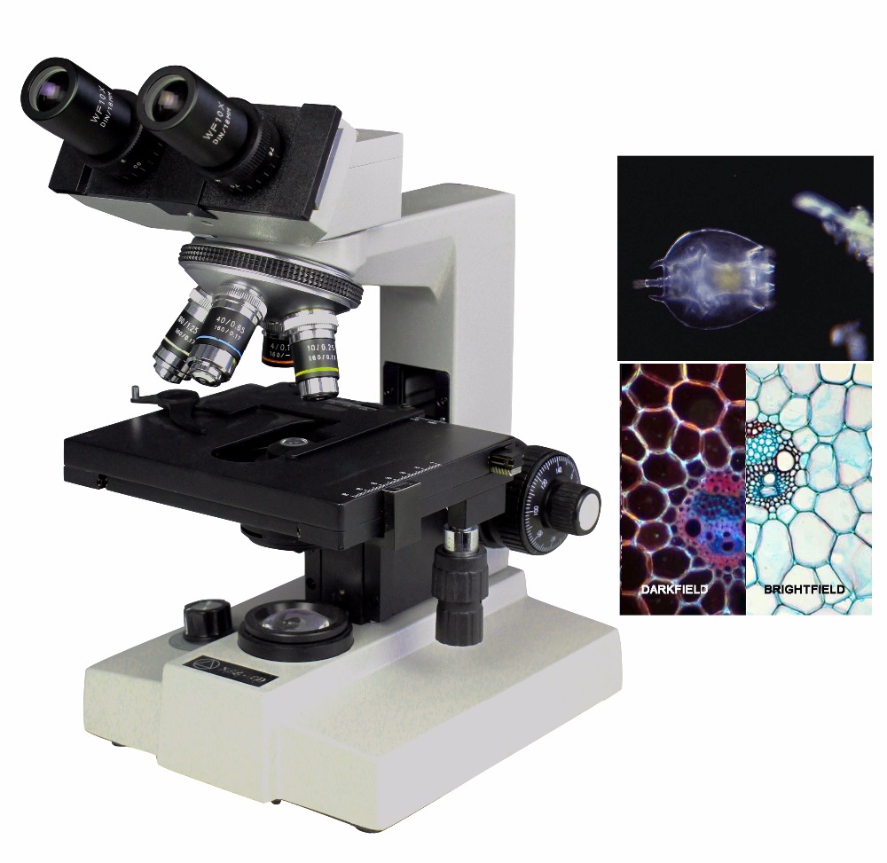 how does dark field microscopy work