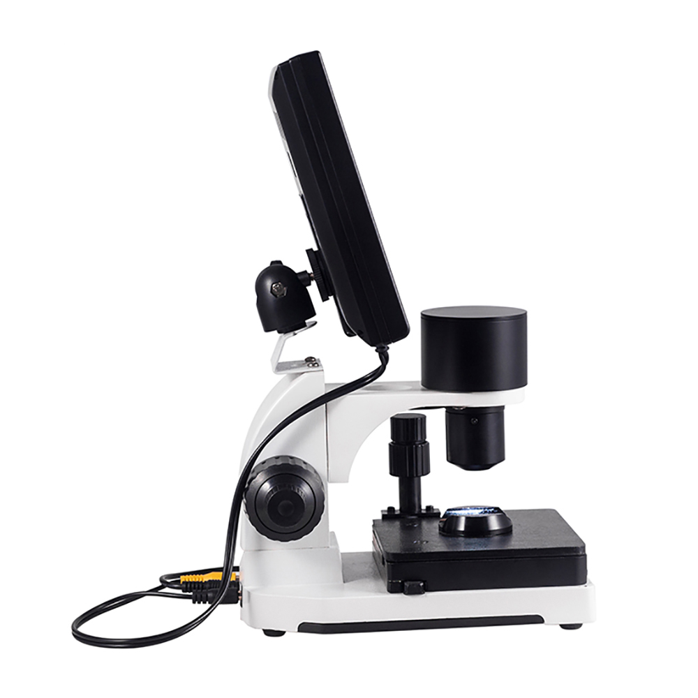 microcirculation microscope price