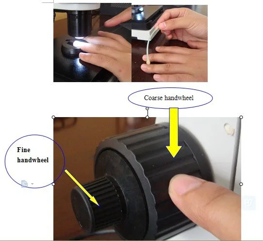 How to Compare Professional Nailfold Capillaroscopy Equipment: A Microscope-Based Buyer's Checklist for the U.S. Market — nail fold microscopy  20 - 副本.jpg