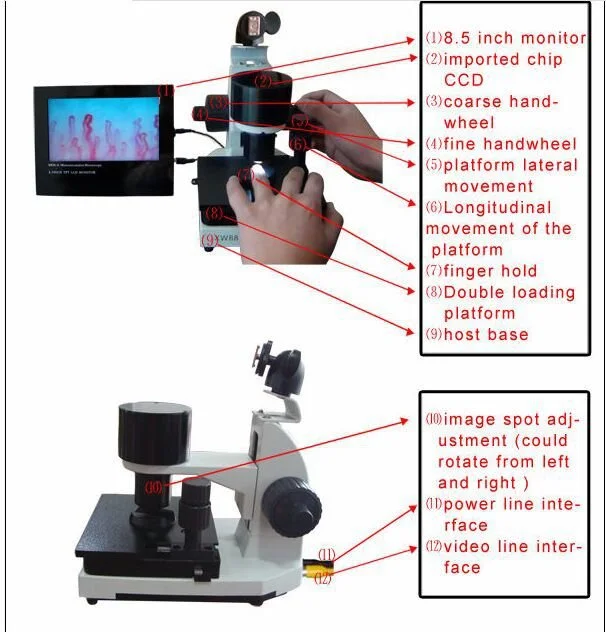 Choosing Capillaroscopy Stands and Mounts for Clinic Stability